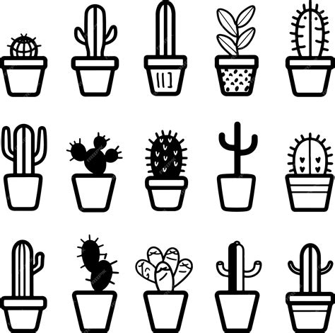 Premium Vector Cactus Succulents In Pot Black And White Silhouette