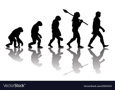 Theory Evolution Man Royalty Free Vector Image