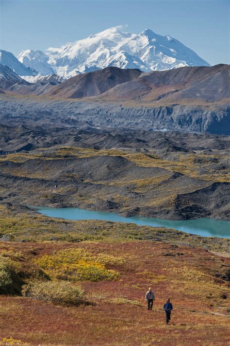 Denali National Park Photography by Hugh Rose