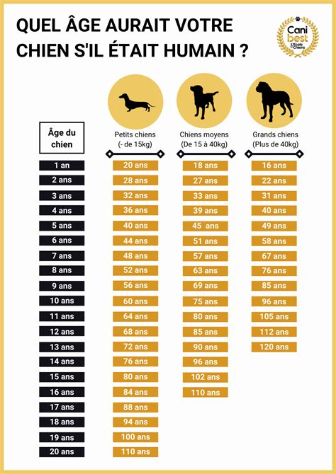 D Couvrir Imagen Formule Pour Calculer L Ge D Un Chien Fr