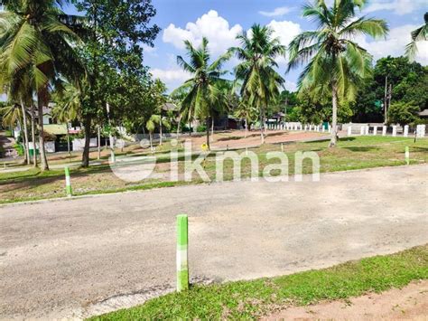 Residential Land Bloks In Homagama Ikman