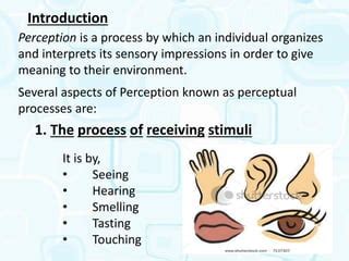 Perceptual Process PPT