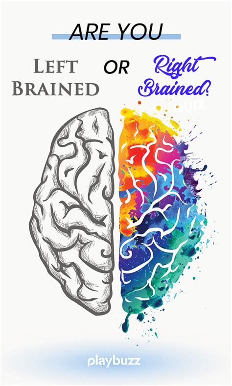 Are You Right Brained Or Left Brained Brain Drawing Right Brain