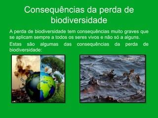Quais São Os Principais Motivos Da Perda Da Biodiversidade - Perda de biodiversidade (1) | PPTX