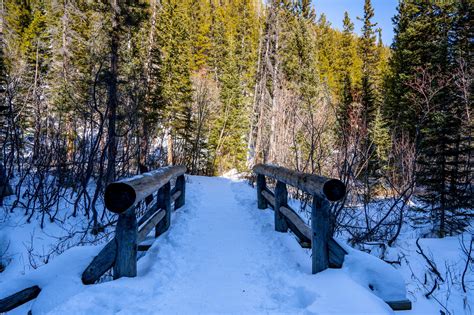 Ultimate Guide to Bear Lake - That Colorado Couple