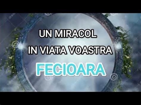 Fecioara Un Miracol In Viata Voastra Tarot Fecioara Youtube