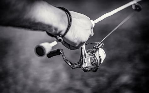 monofilament  fluorocarbon fishing    compare skilled