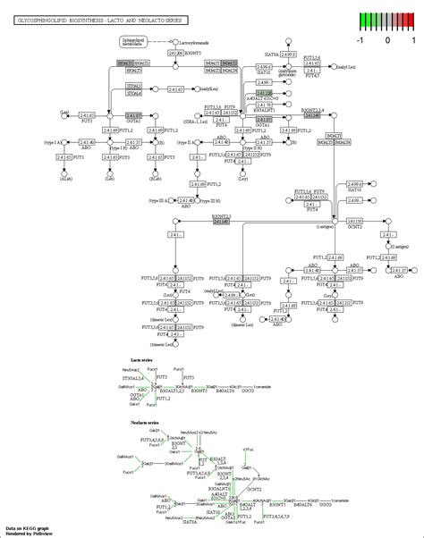 00603 Glycosphingolipid Biosynthesis Globo And Isoglobo Series Png