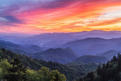 Ultimate Guide to Jackson County, NC: Expert Tips & Insider Insights ...