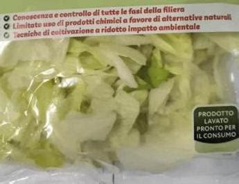 Listeria In Insalata Iceberg In Busta Richiamati Lotti Di Marchi