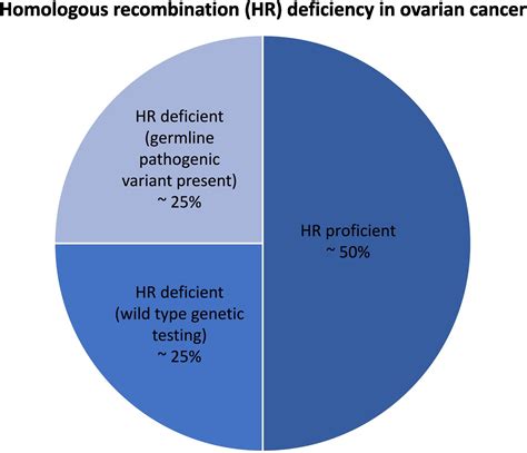 Germline And Somatic Testing For Ovarian Cancer An Sgo Clinical