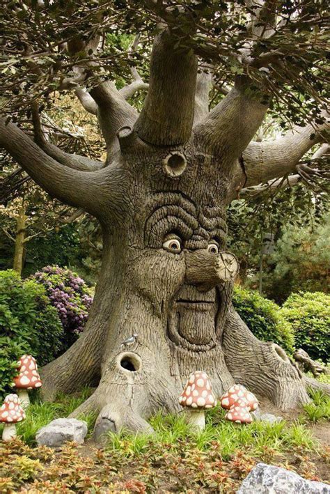 The Old Man ...Mr. Tree Amazing Nature, Fairy Garden, Garden Art, Weird ...