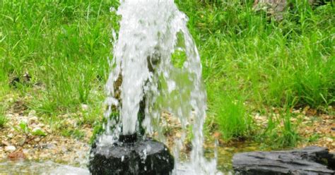 missouri mom   sycamore valley artesian  marquand mo