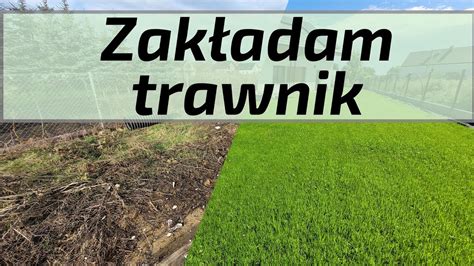 Zak Adam Trawnik Pierwsze Prace W Ogrodzie Niwelacja Terenu Trawa