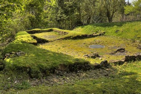 Carden Tower Fife The Remains Of This Tower House Date Ba Flickr