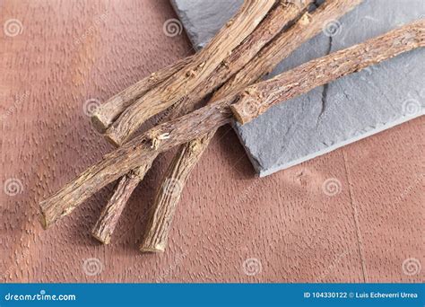 Licorice Roots Glycyrrhiza Glabra Stock Photo Image Of Licorice