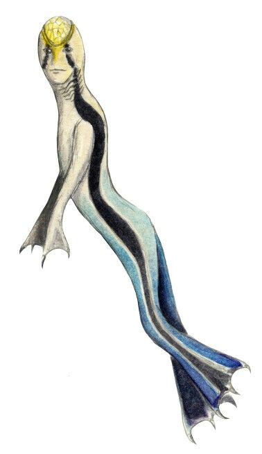 by เตชิต กระวีวงศกร on xzc | Mythical creatures, Mythological ...