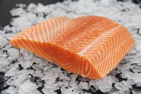 Can Dogs Eat Salmon? - Our Dog Breeds