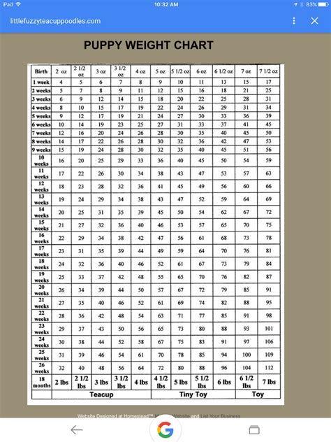 Pomeranian Weight Chart By Age