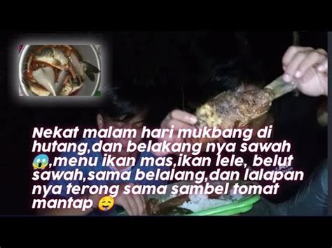 Nekat Malam Hari Mukbang Di Hutan Menu Ikan Mas Ikan Lele Belut