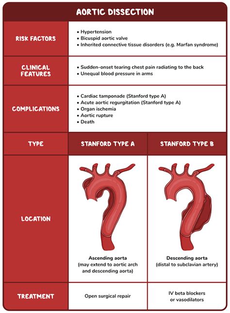 Type B Dissection Management