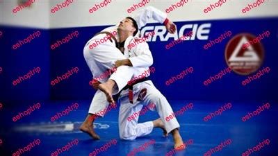 The Most Important Techniques of Brazilian Jiu Jitsu – Eshoptrip