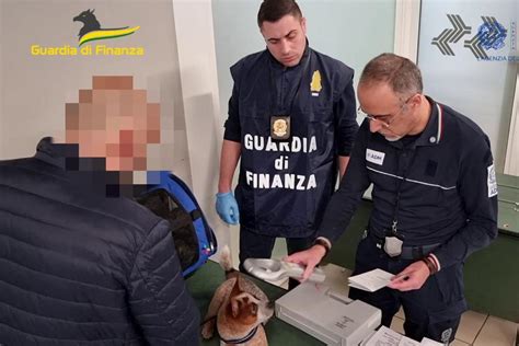 Aeroporto Catullo Scoperto Traffico Illecito Di Cuccioli Gardapost