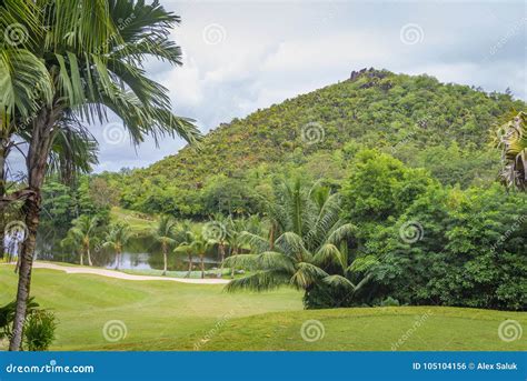 Rainy Seychelles stock photo. Image of constance, green - 105104156