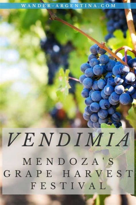 Vendimia: Mendoza's Wine Festival