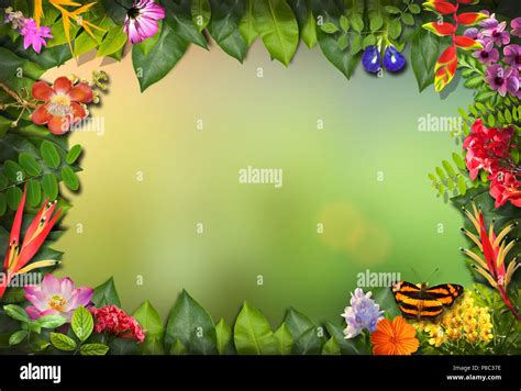 Background Border Design Landscape