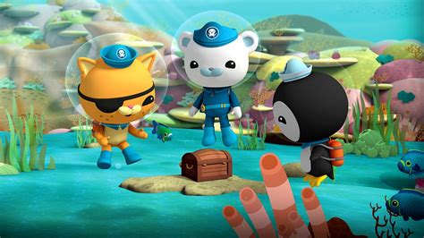 Octonauts Series The Pirate Parrotfish Bbc Iplayer