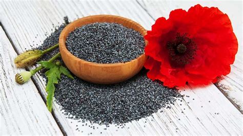 What Are The Health Benefits Of Poppy Seeds