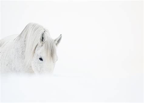 sides  debra garside photography art