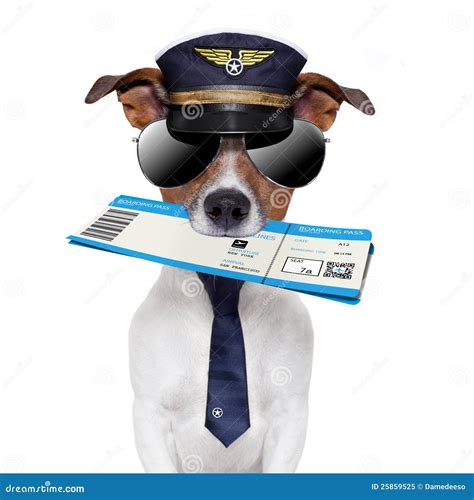 Boarding Pass Dog Royalty-Free Stock Photography | CartoonDealer.com
