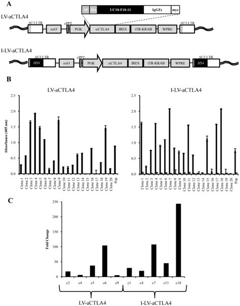 A) Structure of integrated provirus genomes. The vectors contain the ...