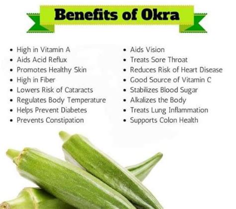 20 Health Benefits Of Okra Blog Undersun Biomedtech Corp