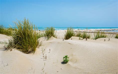 Alberoni Beach Veneto Italy World Beach Guide