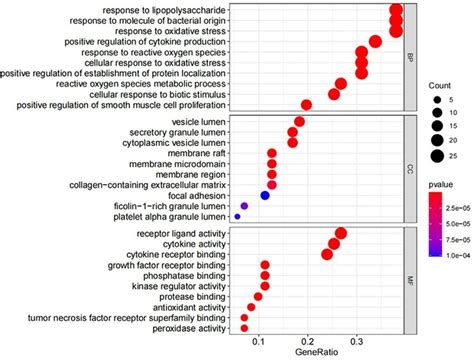 Bubble Diagram Of GO Analysis Results Of The Potential Targets Of BYHWD