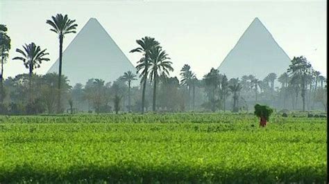 Agricultural In Egypt