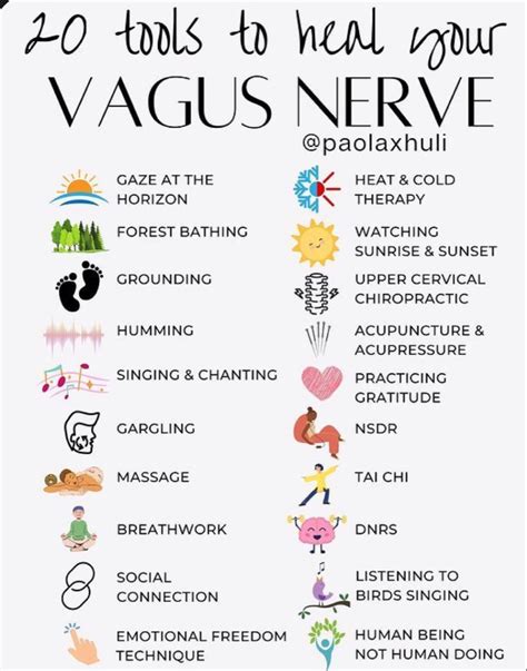 Vagal Tone The Gut Brain Axis The Vagus Nerve Artofit