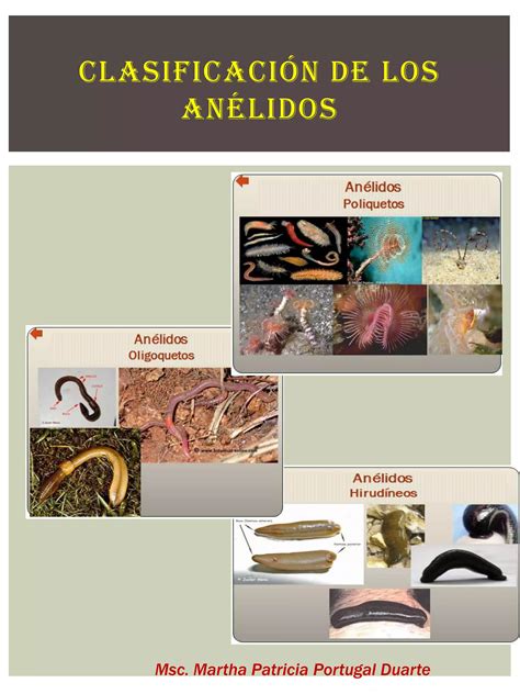 Ciencias Fisico Naturales Ogrado Pdf