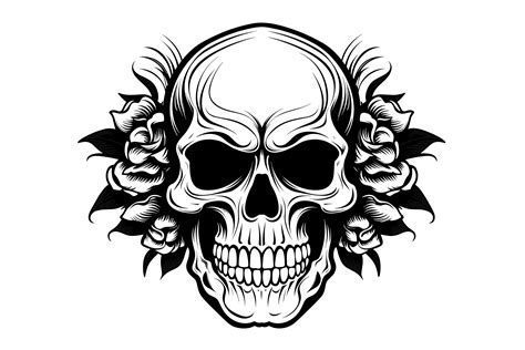 Skull Clipart Graphic By Illustrately · Creative Fabrica