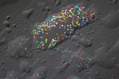 Manganese Sulphate Polarised Light Micrograph Stock Image C