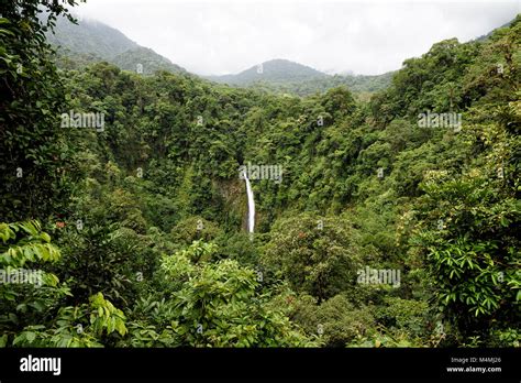 waterfall in the jungle in Costa Rica in central america Stock Photo ...