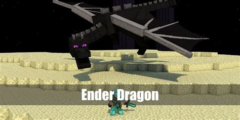 Ender Dragon Costume from Minecraft for Cosplay & Halloween