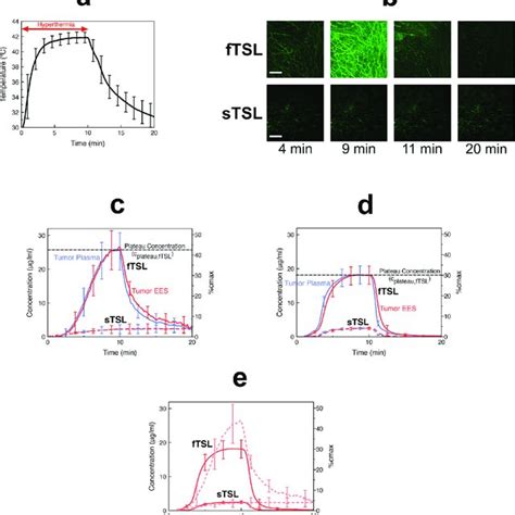 Pdf Drug Transport Kinetics Of Intravascular Triggered Drug Delivery