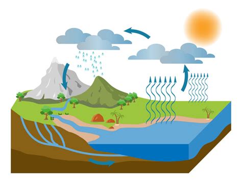 O Que Acontece Com A Água - Evaporacao No Ciclo Da Agua Você Já Pensou De Onde Vem A água Que
