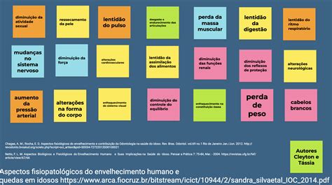 Sabergeronto Descobrindo Os Aspectos Do Envelhecimento Humano