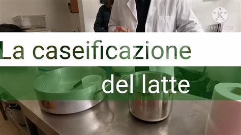 Laboratorio ITAS La Caseificazione Del Latte YouTube