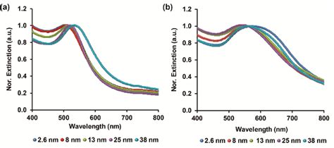 Normalized Uv Vis Extinction Spectra Of The Different Gnps Sizes A Download Scientific